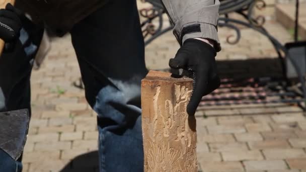ジーンズの男が斧で木を切っている 背景には鍛造ブラジャー — ストック動画