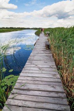 Dar ahşap platform nehir boyunca kurulur. Solda su yüzeyi var. Sağda uzun yeşil sazlıklar var.