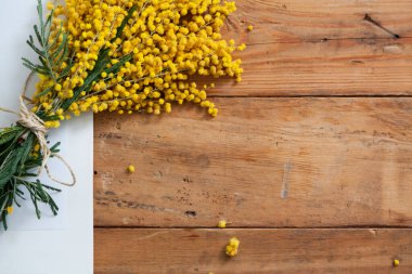 Bahar hala hayattır. Sarı mimozanın bir dalı tahta tahtalarda yatar. Yakınlarda beyaz bir yaprak uzanıyor.