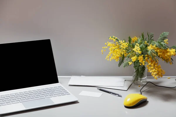 Spring in the office. There is an open laptop and a bouquet of yellow mimosa on a gray work table. Between them lies an envelope and a yellow computer mous