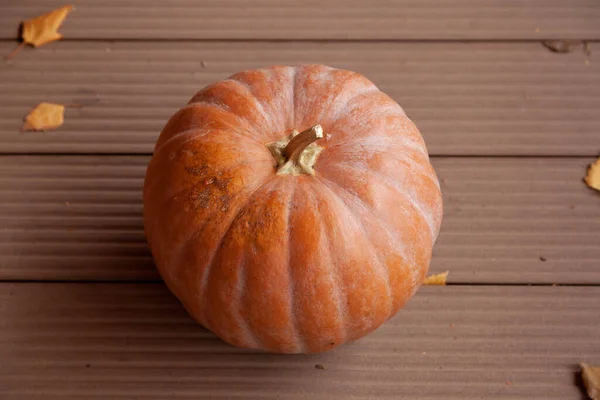 Autumn Still Life Large Pumpkin Fallen Tree Leaves Lie Board — Stock Photo, Image