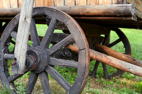 Exhibit Historical Museum Wooden Wheel Wooden Cart Stands Green Grass — 图库照片