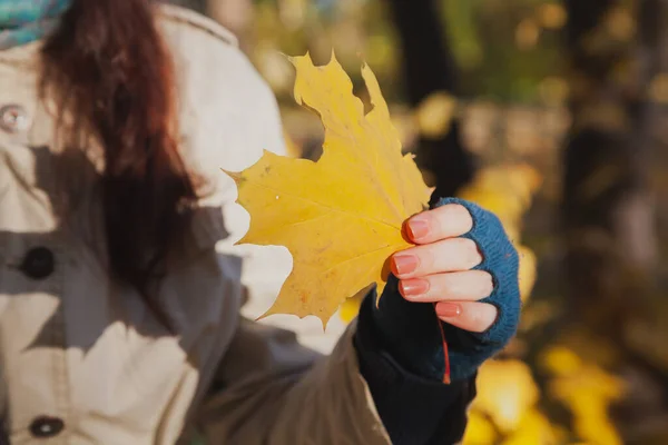 Φθινοπωρινή Διάθεση Ένα Μεγάλο Κίτρινο Φύλλο Σφενδάμου Στο Χέρι Μιας — Φωτογραφία Αρχείου