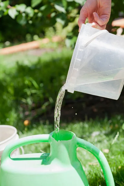 Sulama Hazırlığı Eller Bahçeyi Sulamak Için Plastik Bir Kutusuna Döker — Stok fotoğraf