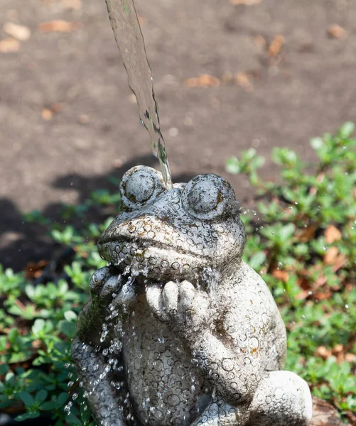 Stone Sculpture Frog Sits Flower Bed Jet Water Pours Her — стоковое фото