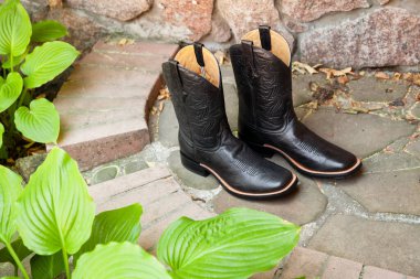Black cowboy men leather boots stand surrounded by green hosta plants on a stone pat