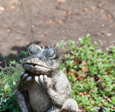 Çiçek tarhında taş bir kurbağa heykeli bulunur. Kafasından aşağı bir su fışkırıyor. Kapat.