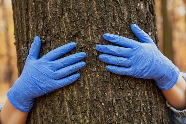 Safe communication with nature. Hands in blue rubber latex disposable  gloves hug a tree trunk in an autumn forest close u