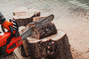 Elektrikli testere çalışıyor. Bir adam ağaç gövdesinin bir parçasını elektrikli testereyle kesiyor. Parça avludaki büyük bir ağaç kütüğünün üzerinde duruyor.