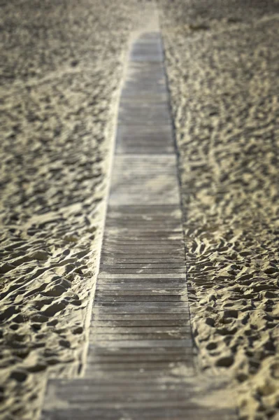 Boardwalk through desert dunes — Stock Photo, Image