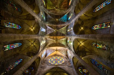 Palma katedral imense tavan