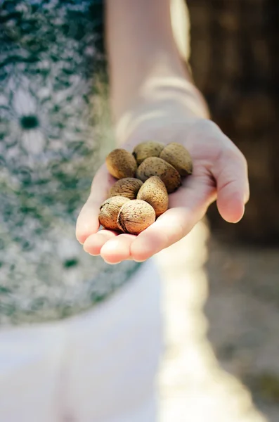 Woman showing handful of almonds — Stock Photo, Image