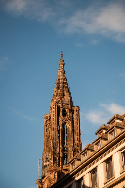 Wieża Katedra w Strasburgu — Zdjęcie stockowe