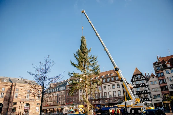 Возведенная рождественская елка в Страсбурге — стоковое фото