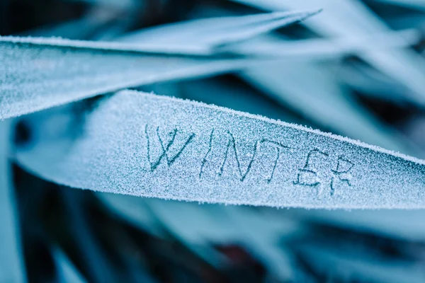 Winter geschreven op bevroren — Stockfoto