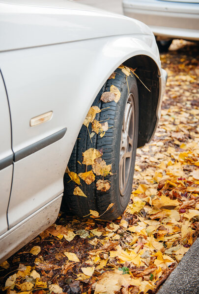 Car winter tire in autumn