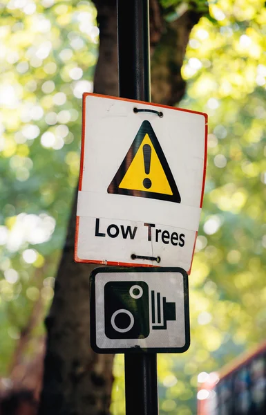 Low tree street sign — Stock Photo, Image