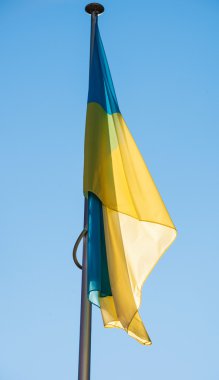 Ukrayna bayraklı Strazburg