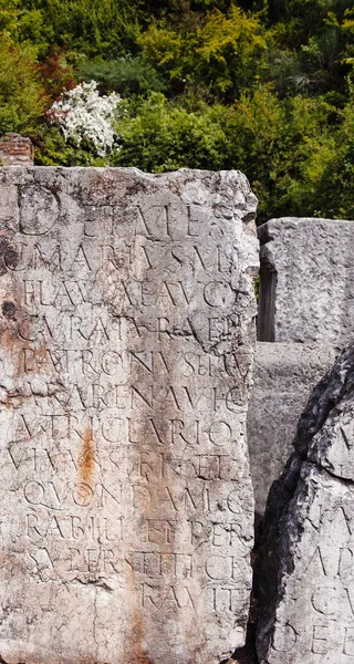 Latin inskriften på graven pläterar — 图库照片