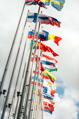 Avrupa Birliği Parlamentosu tüm ülke bayrakları