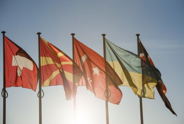 Avrupa Konseyi önünde Ukrayna bayrağı