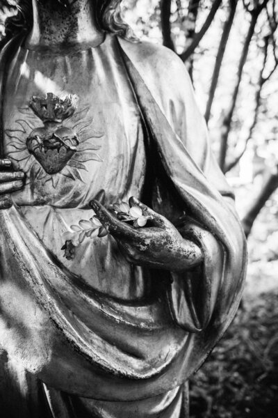 Иисус держит оливковую ветвь
