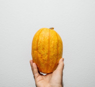 Beyaz arka planda erkek eli balkabağı bio organik