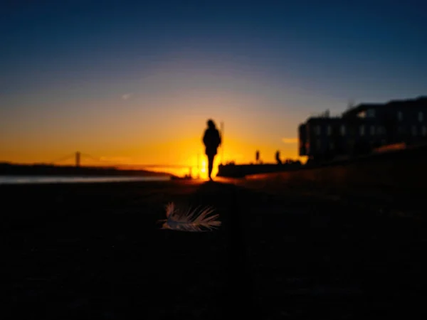 woman walking to the sunset with feather on the asphalt behind her