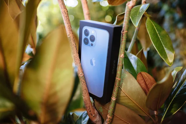 Magnolia boom takken en bladeren met een Apple Computers iPhone 13 pro — Stockfoto