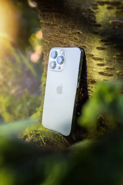 Oude kersenboom tak met nieuwe iPhone 13 Pro Max 5G smartphone — Stockfoto