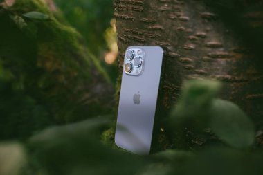 Apple Bilgisayarları tarafından yeni iPhone 13 Pro Max 5G akıllı telefon modeli ile kiraz ağacı dalının görünümü