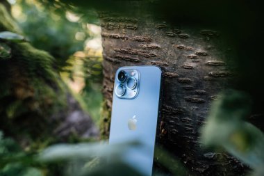 Kiraz ağacı dalındaki Apple bilgisayarlarının yeni iPhone 13 Pro 'sunun üç kamerasına odaklan