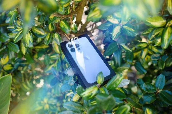 Jaspgnus Japonicus branch with new cardboard package of iPhone 13 Pro Max 5G smartphone model by Apple Computers — 스톡 사진