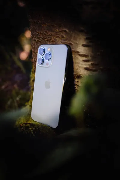 Gammal körsbärsträd gren med ny iPhone 13 Pro Max 5G smartphone — Stockfoto