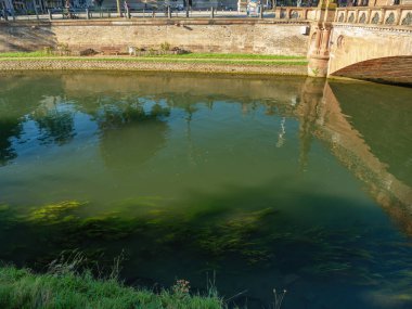 Strasbourg III nehri sualtı otlarıyla