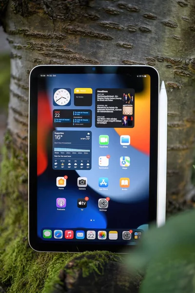 New Apple Computers iPad mini tablet on a cherry tree branch — стокове фото