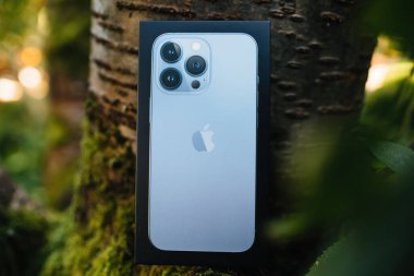 new Apple Computers iphone 13 pro smartphone cardboard