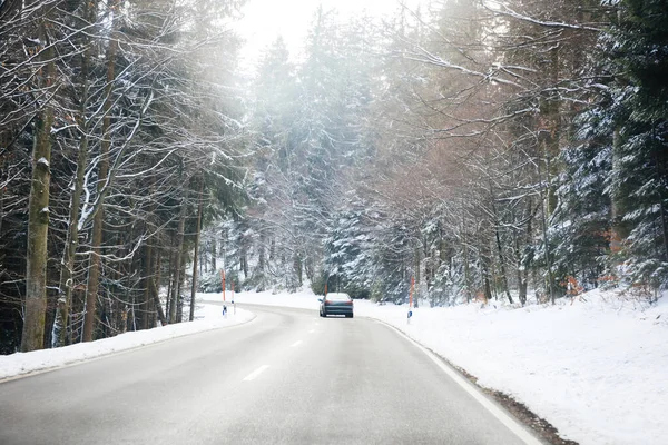 Bakifrån av bilen kör på en snöig väg med hög gran täckt — Stockfoto