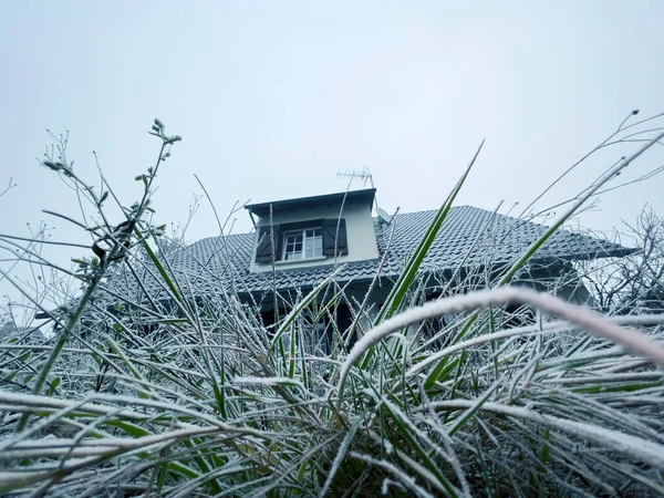 View of rustic house seen through frozen blades of grass — Stock Photo, Image