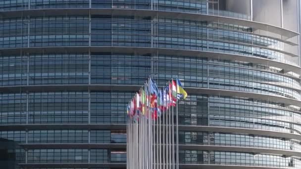 Bandera Ucraniana Ondea Junto Bandera Europa Todas Las Banderas Sindicales Vídeo De Stock