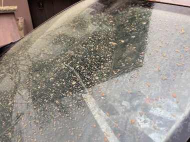 Yakın çekim makro su damlaları, Fransa 'daki Celia fırtınası üstüne Sahara tozu ile karışık kum kirli araba.