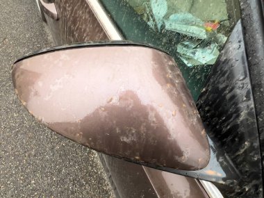 Sahara tozundan kirlenmiş arabanın aynası.