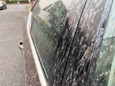 Sahara tozundan çıkan kirli arabanın makro görüntüsü.