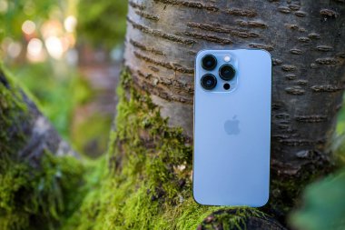 Apple Bilgisayarlar yeni iPhone 13 profesyonel akıllı telefon kiraz ağacının dalında