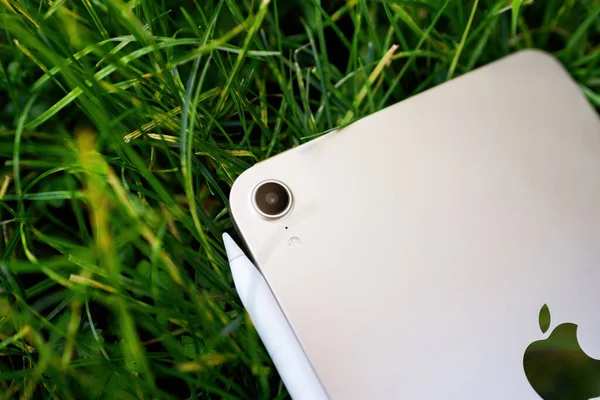 Вид сзади iPad Mini профессиональный планшетный компьютер с новой камерой с карандашом Apple зарядки сбоку - зеленый фон травы — стоковое фото