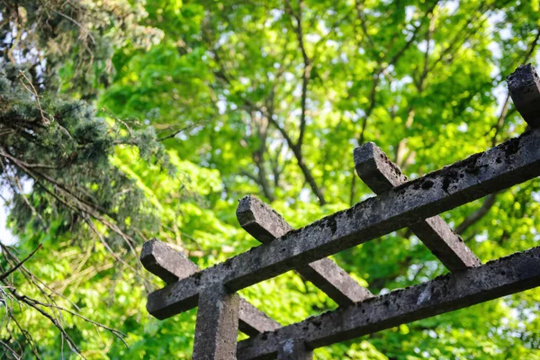 Pergola japonského stylu z cementu se zeleným stromem — Stock fotografie