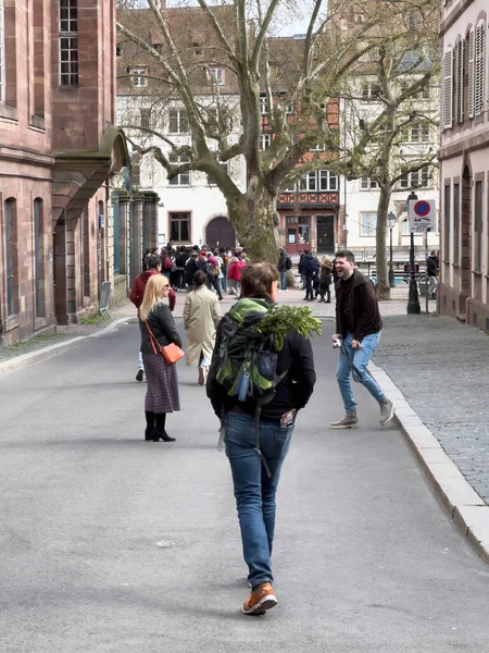 Zadní pohled na muže se zelenými listy v batohu procházky ve městě okružní klidné malé ulice ve Štrasburku — Stock fotografie