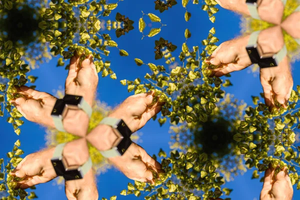 POV macho mano holiding tocando ramas con múltiples Koelreuteria paniculata en metaversa realidad conceptual imaginación virtual y mundo real — Foto de Stock