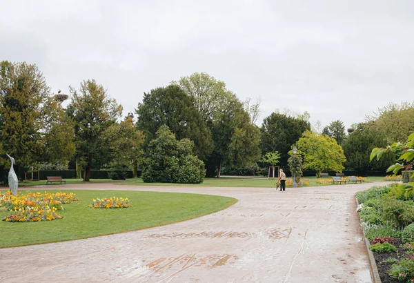 Orangerie 'nin ıslak parkında elinde kamış şemsiyesi olan tanınmayan yaşlı bir kadının arkadan görünüşü. — Stok fotoğraf
