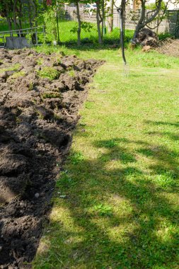 Çelik bahçe çatalıyla bahçede çimenlik temizleme.